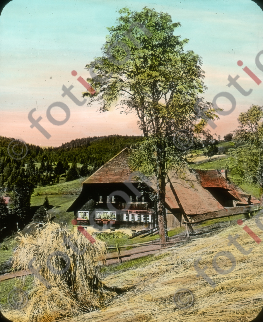 Schwarzwaldhaus | Black Forest House - Foto foticon-simon-127-005.jpg | foticon.de - Bilddatenbank für Motive aus Geschichte und Kultur